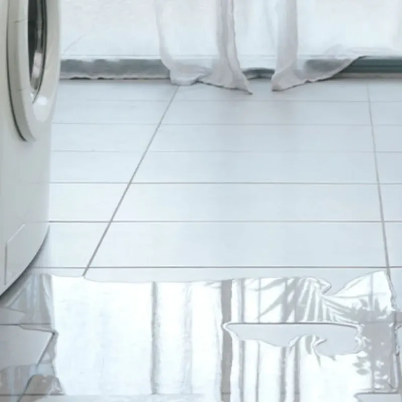 Appliance Leak Cleanup in Ellaville, GA