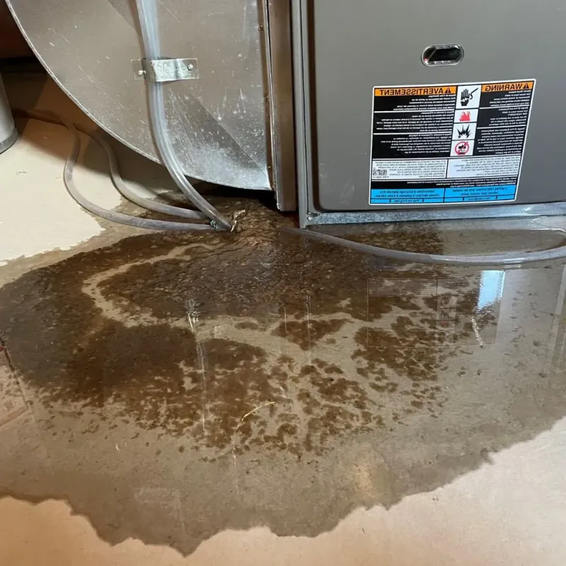 Pipe Burst and Leak Restoration in Ellaville, GA