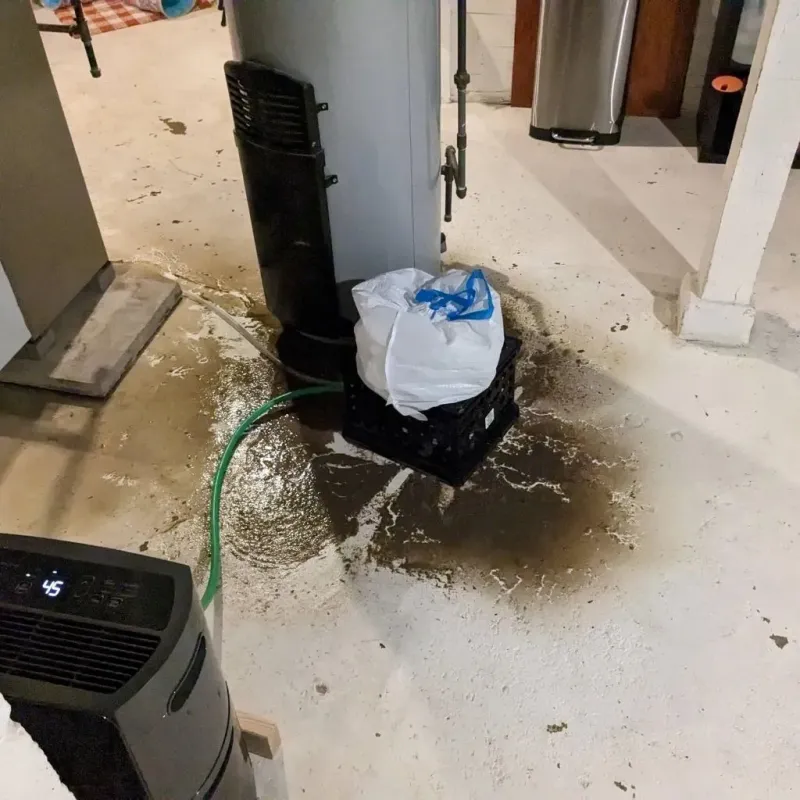 Sewage Backup Cleanup Service in Ellaville, GA